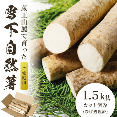 蔵王の雪下自然薯 約1.5kg【カット・切り芋】ご自宅ご家庭用・とろろもオススメ・処理済み【1674215】