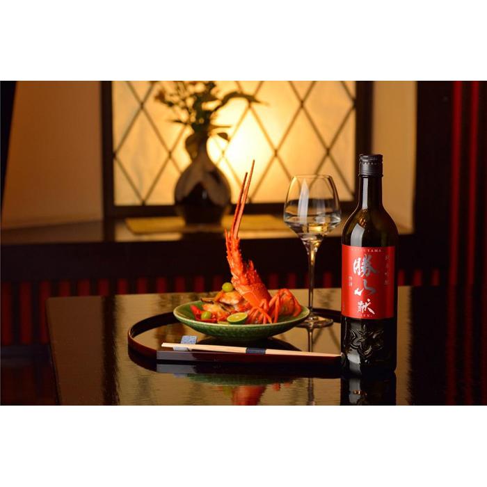 【ふるさと納税】勝山 純米吟醸 献（けん）　【 お酒 日本酒 晩酌 バレンタイン 父の日 山田錦 上品な香り 米の旨味 味わい豊か 食中酒 】 サムネイル3