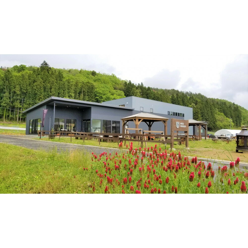 【ふるさと納税】ネオトレイル 甲州 NEO TRAIL KOSHU 2024　750ml×1本【 オレンジワイン お酒 アルコール アルコール飲料 晩酌 家飲み 宅飲み 飲み会 集まり バーベキュー BBQ イベント 飲み物】 | お酒 さけ 人気 おすすめ ギフト シードル　ワイン サムネイル2