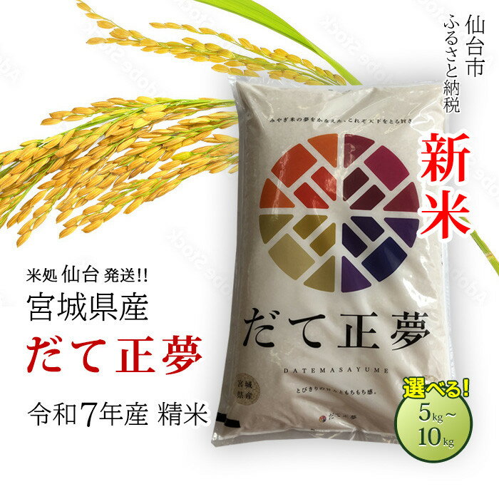【宮城県産 だて正夢】令和7年度産 精米＜ 選べる内容量 5kg ／ 10kg ＞ 【米 お米 こめ コメ ご飯 ごはん】 | お米 こめ 白米 食品 人気 おすすめ 送料無料