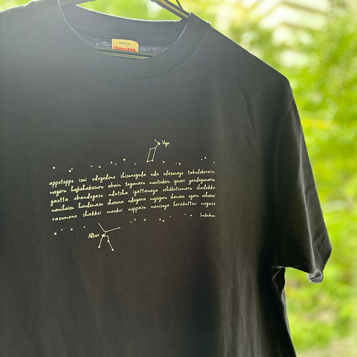 【ふるさと納税】仙台・宮城の観光Tシャツ　「仙台弁の天の川」Tシャツ　Mサイズ・Lサイズから選択可　［S-03］【お土産 観光 Tシャツ 宮城 仙台弁】 | 衣料 ファッション 人気 おすすめ 送料無料 サムネイル2