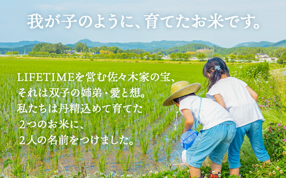 【ふるさと納税】令和7年産 ササシグレ 玄米 5kg 米 お米 節減対象農薬不使用 化学肥料不使用 コメ こめ ささしぐれ ご飯 ごはん 主食 ライス 5キロ 産地直送 国産 宮城県 石巻市 - 画像2