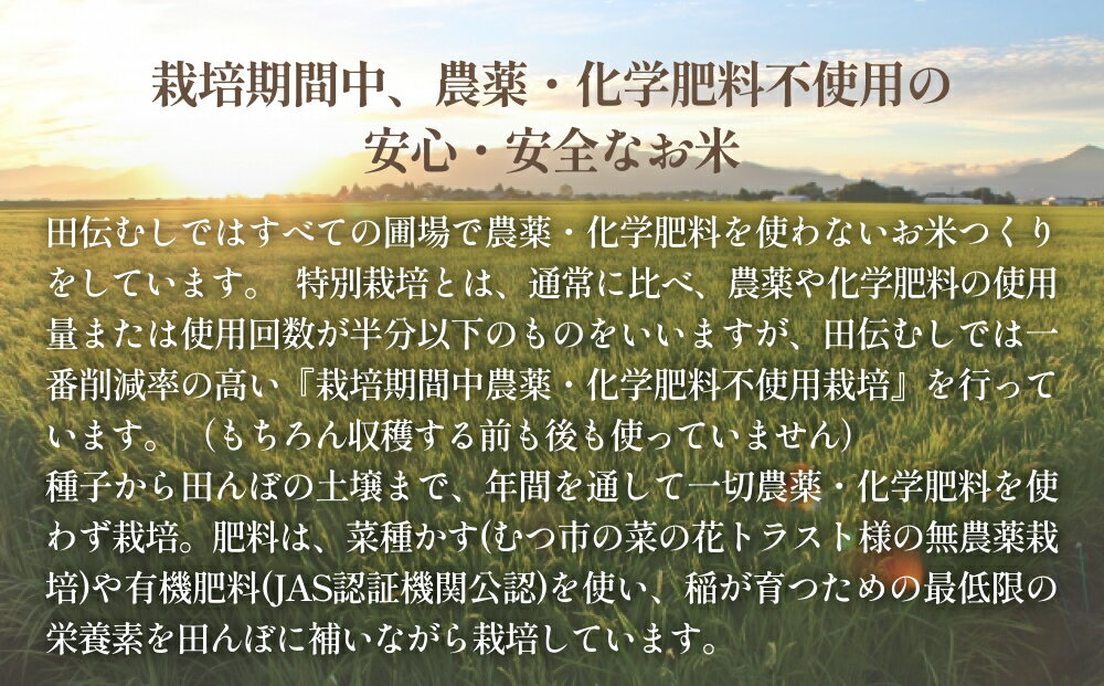 【ふるさと納税】 令和7年産 特別栽培米 ササニシキ 白米 5kg 米 お米 主食 ご飯 ライス 栽培期間中 農薬不使用 化学肥料不使用 家庭用 少量 宮城県 石巻市 宮城 石巻 - 画像2