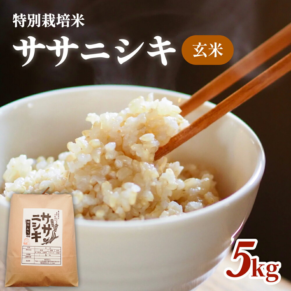 令和7年産 特別栽培米 ササニシキ 玄米 5kg お米 5キロ 玄米食 ご飯 ごはん 主食 家庭用 栽培期間中 農薬不使用 化学肥料不使用 ブランド米 ささにしき あっさり 食感 甘味 宮城県産 宮城県 石巻 石巻市 送料無料