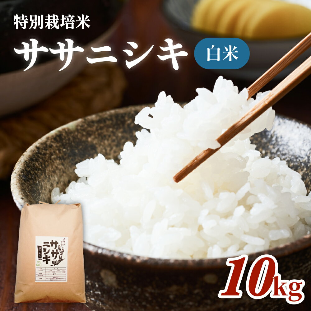 令和7年産 特別栽培米 ササニシキ 白米 10kg 米 お米 主食 ご飯 ライス 栽培期間中 農薬不使用 化学肥料不使用 家庭用 少量 宮城県 石巻市 宮城 石巻
