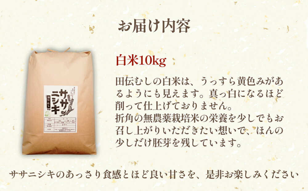 【ふるさと納税】 令和7年産 特別栽培米 ササニシキ 白米 10kg 米 お米 主食 ご飯 ライス 栽培期間中 農薬不使用 化学肥料不使用 家庭用 少量 宮城県 石巻市 宮城 石巻 - 画像3