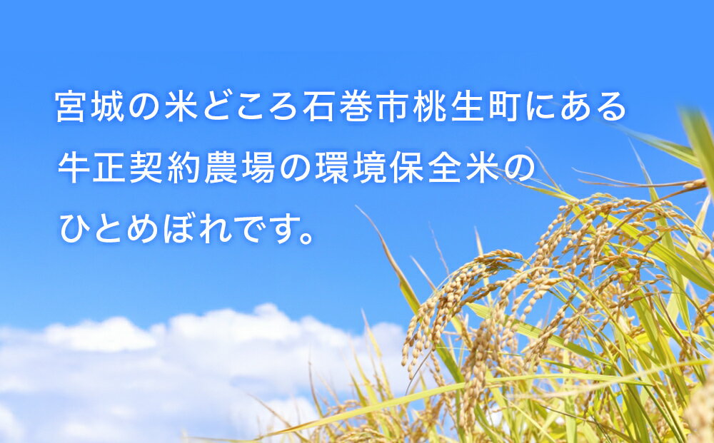 【ふるさと納税】《 選べる内容量 》石巻市 令和7年産 ひとめぼれ 5kg - 10kg 精米 環境保全米 米 お米 白米 主食 ご飯 ライス 家庭用 宮城県 石巻市 宮城 石巻 - 画像2