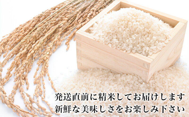 【ふるさと納税】 令和7年産 ヨシ腐葉土米 精米4kg（4kg×1袋）ササニシキ つや姫 コシヒカリ 品種が選べる 石巻市 - 画像3