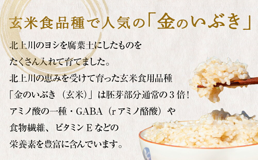 【ふるさと納税】 米 令和7年産 金のいぶき 玄米 5kg 宮城県産 お米 国産 ヨシ腐葉土米 コメ 5キロ 少量 小分け 家庭用 ご飯 げんまい ご当地米 おにぎり ごはん 美味しい 主食 栄養豊富 健康食品 食物繊維 ビタミン ヘルシー お取り寄せ 宮城県 石巻 石巻市 防災減災 - 画像2