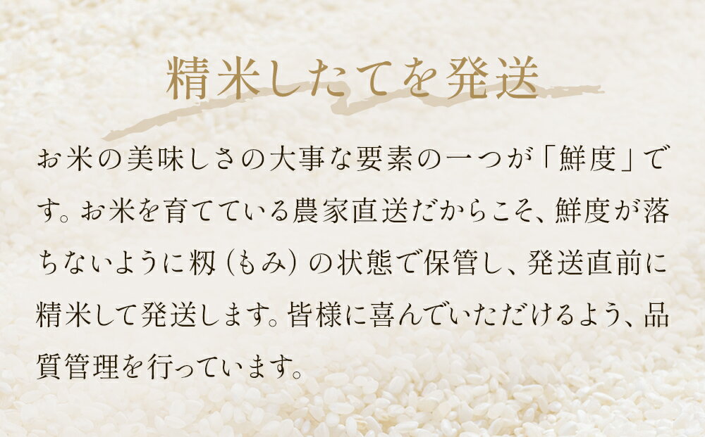 【ふるさと納税】令和7年産 つや姫 精米 5kg - 30kg 単品 or 定期便 米 こめ コメ お米 ご飯 白米 ツヤ姫 ご飯 白米 つやひめ 定期便 3回 6回 - 画像2