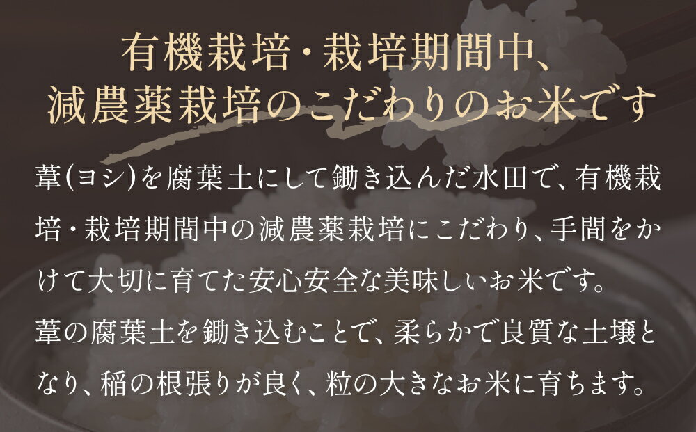 【ふるさと納税】令和7年産 つや姫 精米 5kg - 30kg 単品 or 定期便 米 こめ コメ お米 ご飯 白米 ツヤ姫 ご飯 白米 つやひめ 定期便 3回 6回 - 画像3