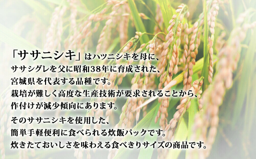 【ふるさと納税】ご飯パック 宮城県産 ササニシキ 180g 24個 or 48個 パックライス パックごはん ごはん パック レトルト ご飯 常温 米 白米 真空パック 24食 48食 ささにしき 炊飯パック 簡単 手軽 電子レンジ 簡単調理 こめ お米 保存食 非常食 防災 国産 宮城県 石巻市 - 画像2