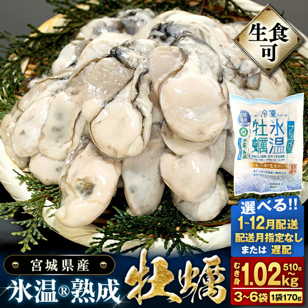 内容量 ・ 配送月 が 選べる 宮城県産 かき むき身 氷温熟成 牡蠣 生食用（冷凍）3袋 6袋（1袋 170g）生食 むき カキ 冷凍牡蠣 牡蠣むき身 殻なし 510g 1.02kg 小分け 冷凍 バラバラ冷凍 宮城県 石巻市 宮城 石巻 まるたか水産