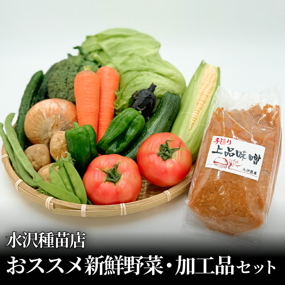野菜 水沢種苗店おススメ新鮮野菜・加工品セット 宮城県 石巻市 おやさい やさい お野菜 せっと 新鮮お野菜 旬 お届け 14日以内