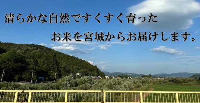 【ふるさと納税】 米 つや姫 令和7年産 精米 10kg 宮城県産 石巻市 こめ コメ お米 ツヤ姫 ご飯 ごはん 主食 おにぎり 美味しい 甘み 旨み - 画像2