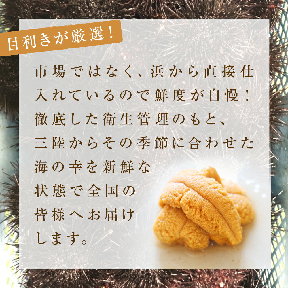 【ふるさと納税】＜先行予約：2026年5月下旬以降順次発送＞ 生うに 宮城県産 塩水 生うに 80g ×2~4個 冷蔵 塩水うに 新鮮 ミョウバン不使用 無添加 刺身 雲丹 小分け むき身 宮城県 石巻市 ウニ 生ウニ ムラサキウニ 厳選 三陸 順次発送 旬 期間限定 数量限定 今だけ - 画像2