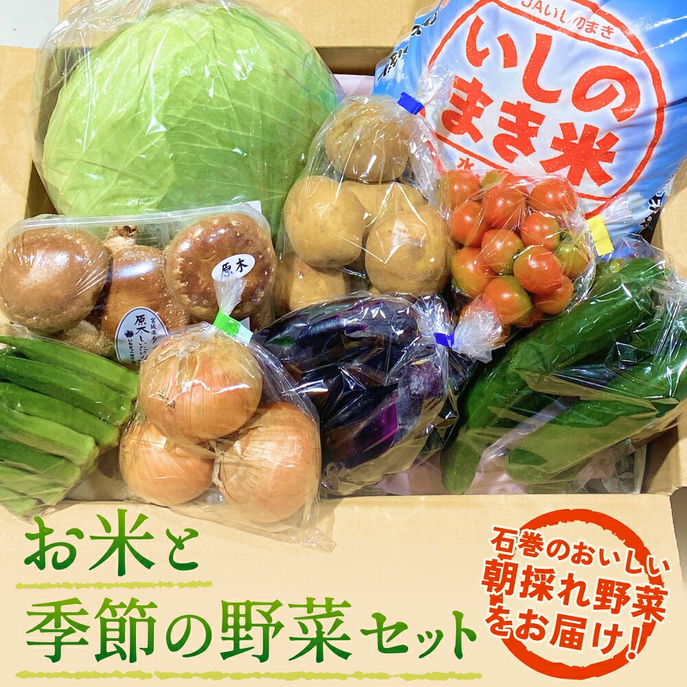 石巻産 お米と季節の野菜セット 詰め合せ 朝採れ 旬の野菜 季節の野菜 やさい お野菜 野菜 ヤサイ 米 ひとめぼれ 5kg コメ 詰め合わせ 食材 新鮮 宮城 石巻 宮城県 石巻市