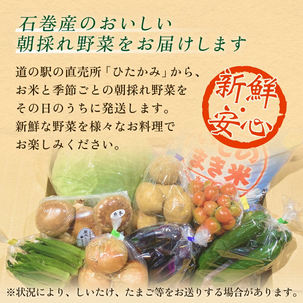 【ふるさと納税】石巻産 お米と季節の野菜セット 詰め合せ 朝採れ 旬の野菜 季節の野菜 やさい お野菜 野菜 ヤサイ 米 ひとめぼれ 5kg コメ 詰め合わせ 食材 新鮮 宮城 石巻 宮城県 石巻市 - 画像2