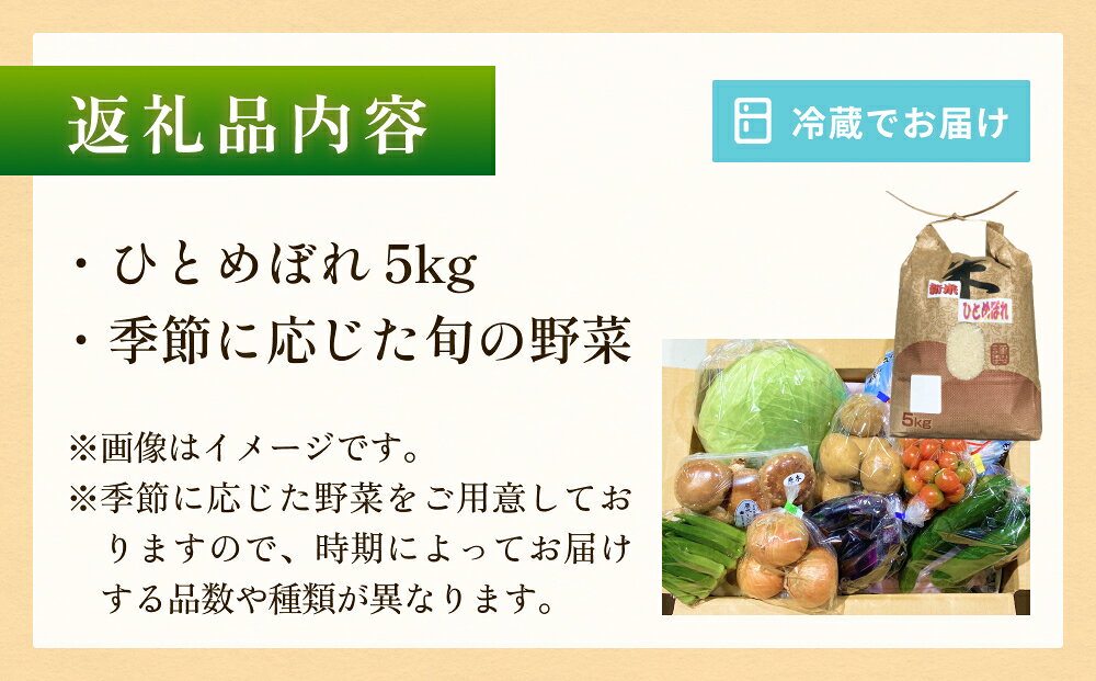 【ふるさと納税】石巻産 お米と季節の野菜セット 詰め合せ 朝採れ 旬の野菜 季節の野菜 やさい お野菜 野菜 ヤサイ 米 ひとめぼれ 5kg コメ 詰め合わせ 食材 新鮮 宮城 石巻 宮城県 石巻市 - 画像3