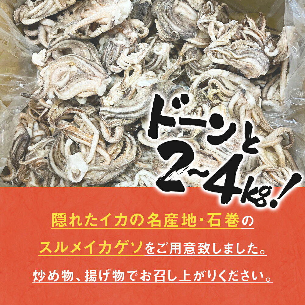 【ふるさと納税】訳あり 《内容量・配送時期が選べる》 スルメイカ ゲソ 2kg 4kg 宮城県産 冷凍 国産 いか 烏賊 イカ 下足 イカゲソ 唐揚げ いかげそ おつまみ 魚介類 焼イカ BBQ わけあり 不揃い 炒め物 ゲソ天 唐揚げ イカゲソ2kg イカゲソ4kg 宮城県 石巻市 宮城 石巻 サムネイル2