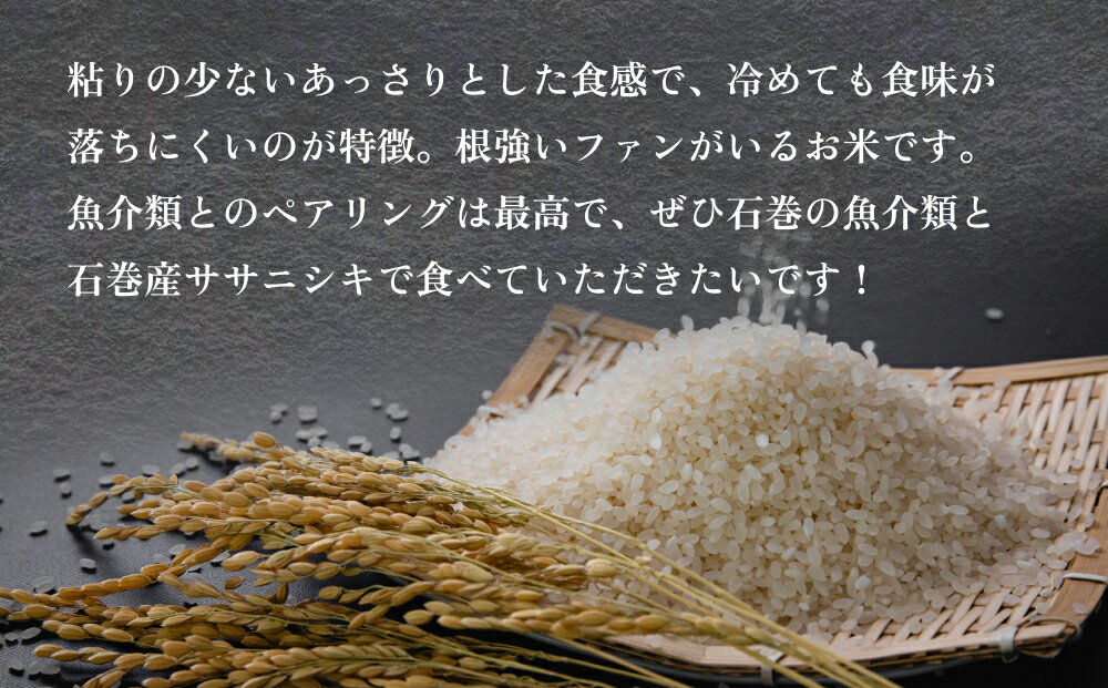 【ふるさと納税】米 定期便 令和7年産 石巻産 ササニシキ 精米 5kg×1袋 1回 / 3回 定期配送 お米 白米 コメ ご飯 主食 おにぎり おかゆ ささにしき ブランド米 5kg 15kg 定期 毎月 家庭用 小分け 宮城県 石巻市 宮城 石巻 送料無料 - 画像2