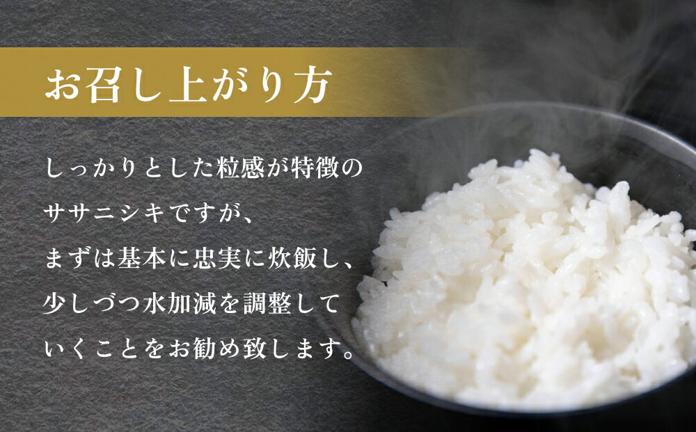 【ふるさと納税】米 定期便 令和7年産 石巻産 ササニシキ 精米 5kg×1袋 1回 / 3回 定期配送 お米 白米 コメ ご飯 主食 おにぎり おかゆ ささにしき ブランド米 5kg 15kg 定期 毎月 家庭用 小分け 宮城県 石巻市 宮城 石巻 送料無料 - 画像3