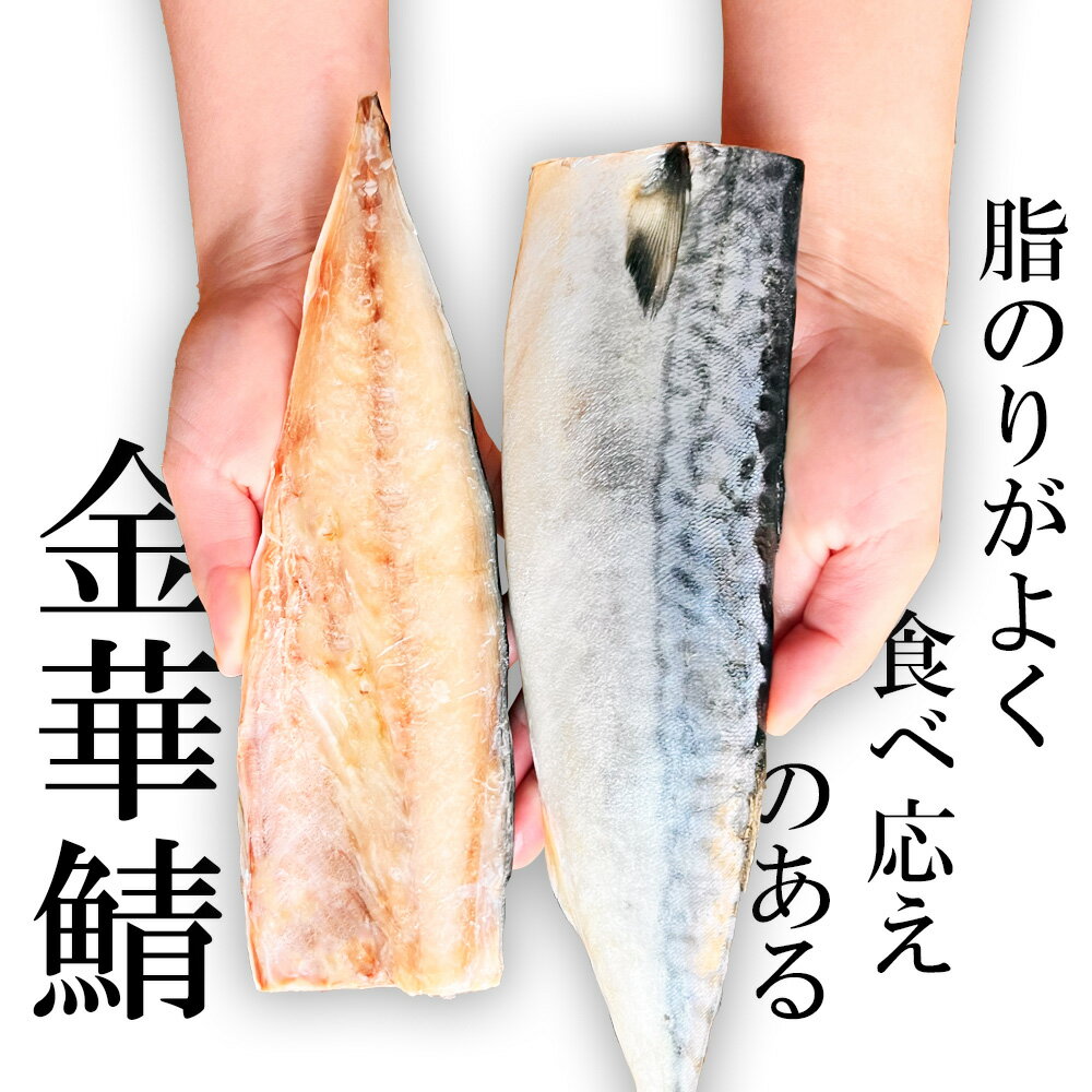 【ふるさと納税】 鯖 サバ 無添加 国産 さば 金華さば 選べる量 840g/2.2kg/3.3kg 選べる回数 定期便 2〜12回 無塩 フィレ 冷凍 バラ凍結 三陸産 国産鯖 食品 大容量 人気 魚 魚介 魚貝 海鮮 弁当 惣菜 おかず おつまみ お取り寄せ グルメ 送料無料 鯖 塩竈市 塩釜 三波食品 サムネイル2