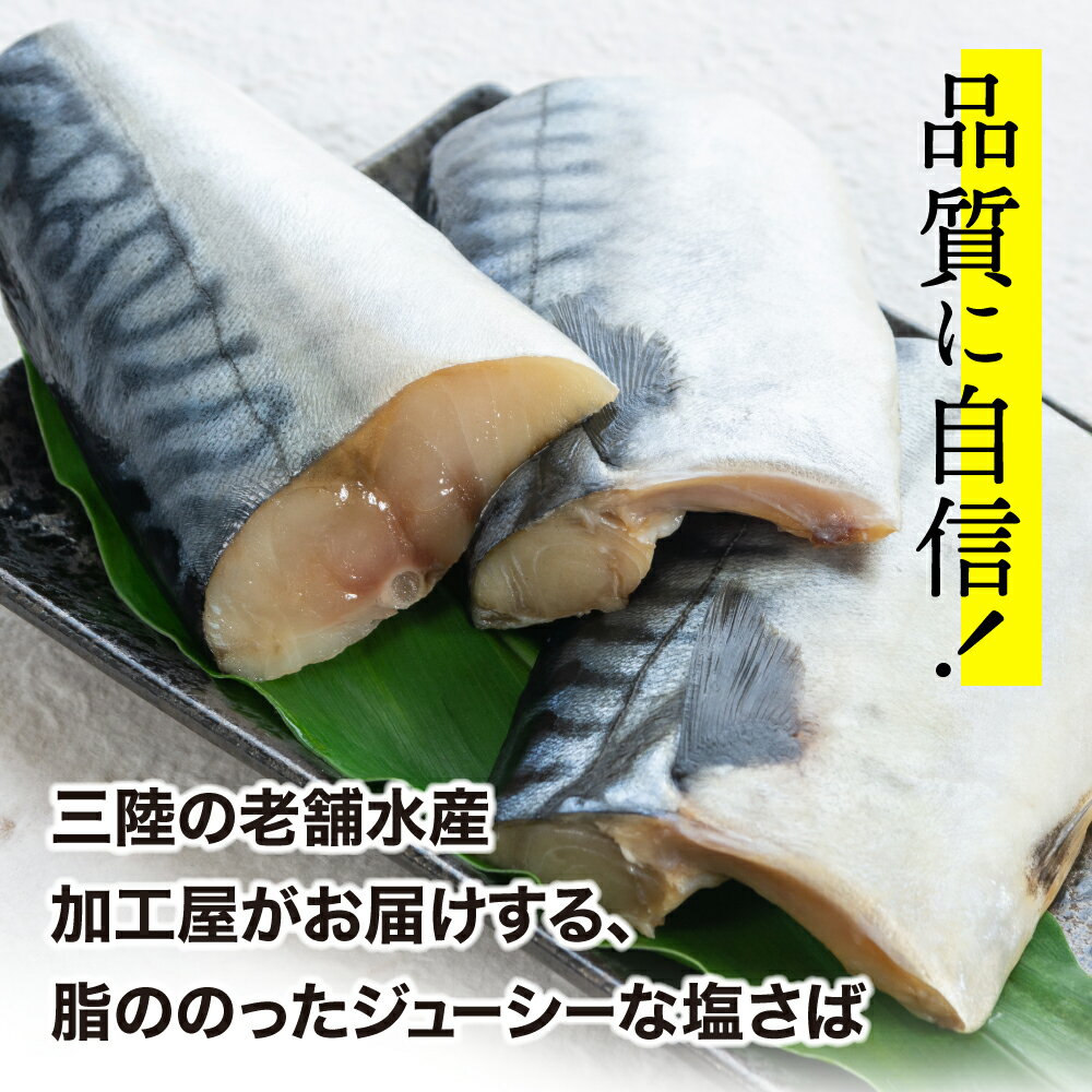 【ふるさと納税】 無添加 訳あり トロ 塩さば 1.7kg～500g 鯖 さば 冷凍 食品 小分け 大容量 人気 魚 魚介 魚貝 海鮮 弁当 惣菜 贈答 プレゼント ギフト お取り寄せ グルメ 送料無料 不揃い 規格外 ふるさと納税鯖 SDGs応援品 塩竈市 塩釜 ヤママサ サムネイル2