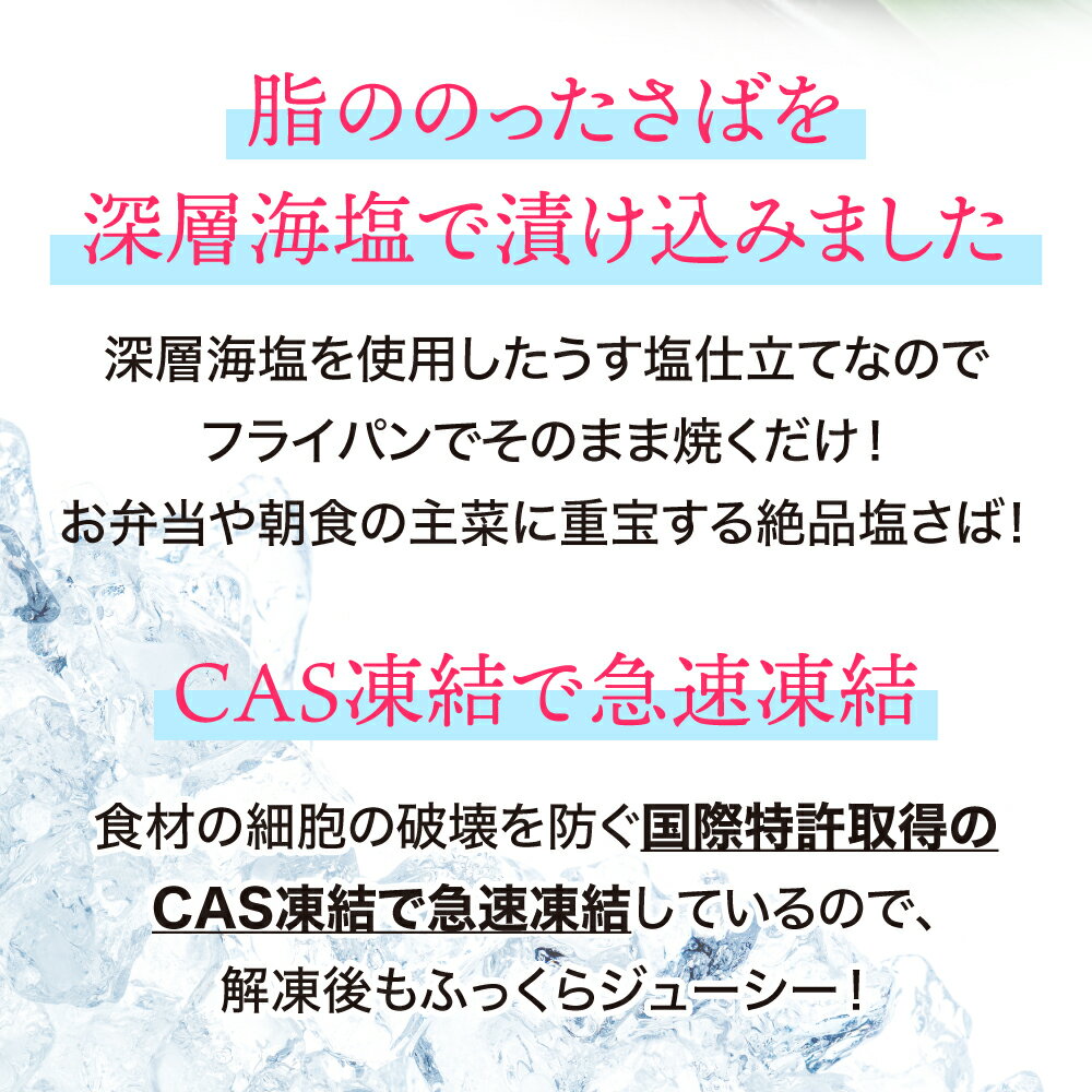 【ふるさと納税】 無添加 訳あり トロ 塩さば 1.7kg～500g 鯖 さば 冷凍 食品 小分け 大容量 人気 魚 魚介 魚貝 海鮮 弁当 惣菜 贈答 プレゼント ギフト お取り寄せ グルメ 送料無料 不揃い 規格外 ふるさと納税鯖 SDGs応援品 塩竈市 塩釜 ヤママサ サムネイル3