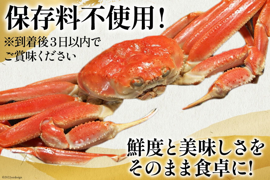 【ふるさと納税】 老舗カニ卸業者から直送 本ずわいがに ほぐし身 500g [カネダイ 宮城県 気仙沼市 20565781] 魚介 海鮮 魚介類 醤油 かに ズワイガニ 蟹 ずわい蟹 ズワイ蟹 - 画像3
