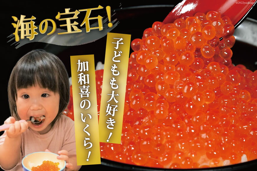 【ふるさと納税】 味付いくら 鱒卵 【内容量が選べる】 [かわむら家 宮城県 気仙沼市 20562972] いくら 海鮮 魚介類 イクラ 醤油漬け 鱒 鱒いくら 200g 400g 500g - 画像3