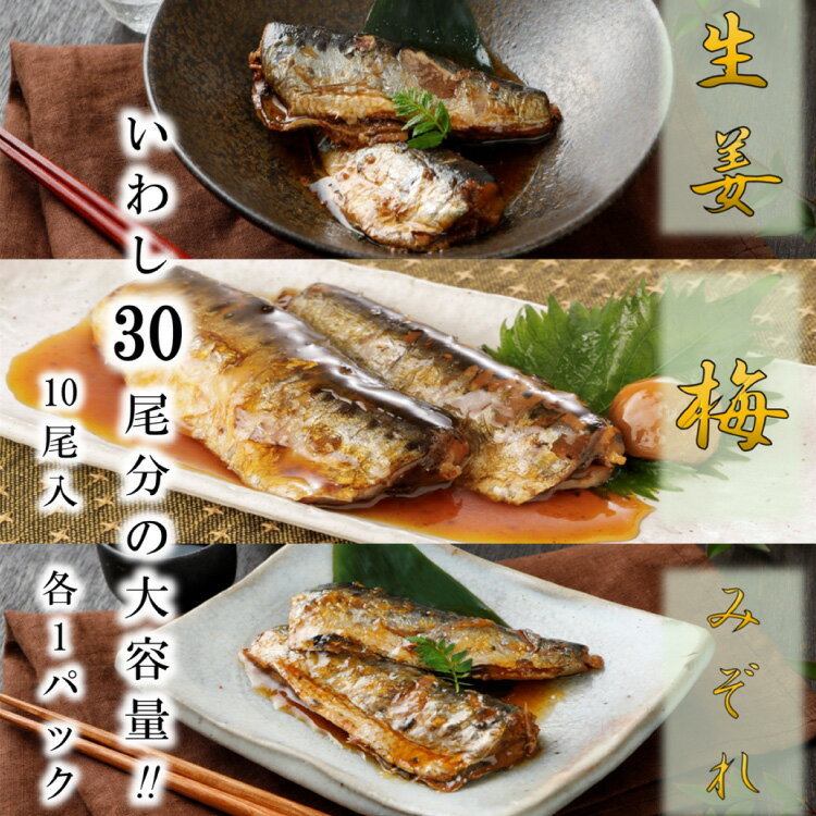 【ふるさと納税】 訳あり 業務用 いわし煮魚 3種 ×10尾 計30尾入 約1.5kg 簡易包装 [カネダイ 宮城県 気仙沼市 20565562] 魚 魚介 煮魚 国産 生姜煮 梅肉煮 みぞれ煮 おかず 焼き魚 簡単 時短 訳アリ 冷凍 サムネイル2