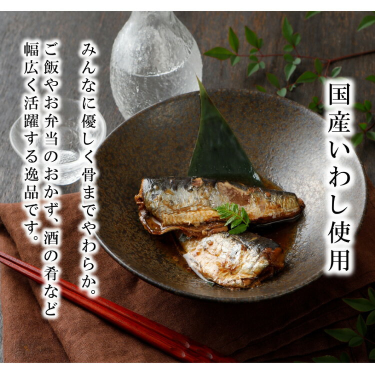 【ふるさと納税】 訳あり 業務用 いわし煮魚 3種 ×10尾 計30尾入 約1.5kg 簡易包装 [カネダイ 宮城県 気仙沼市 20565562] 魚 魚介 煮魚 国産 生姜煮 梅肉煮 みぞれ煮 おかず 焼き魚 簡単 時短 訳アリ 冷凍 サムネイル3