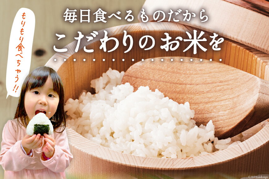 【ふるさと納税】 米 宮城県産 ひとめぼれ【選べる内容量】5kg 10kg 新米 定期便 [気仙沼米穀商業協同組合 宮城県 気仙沼市 20561646] 一等米 ブランド米 白米 精米 ご飯 ごはん コメ こめ お米 小分け 家庭用 サムネイル3