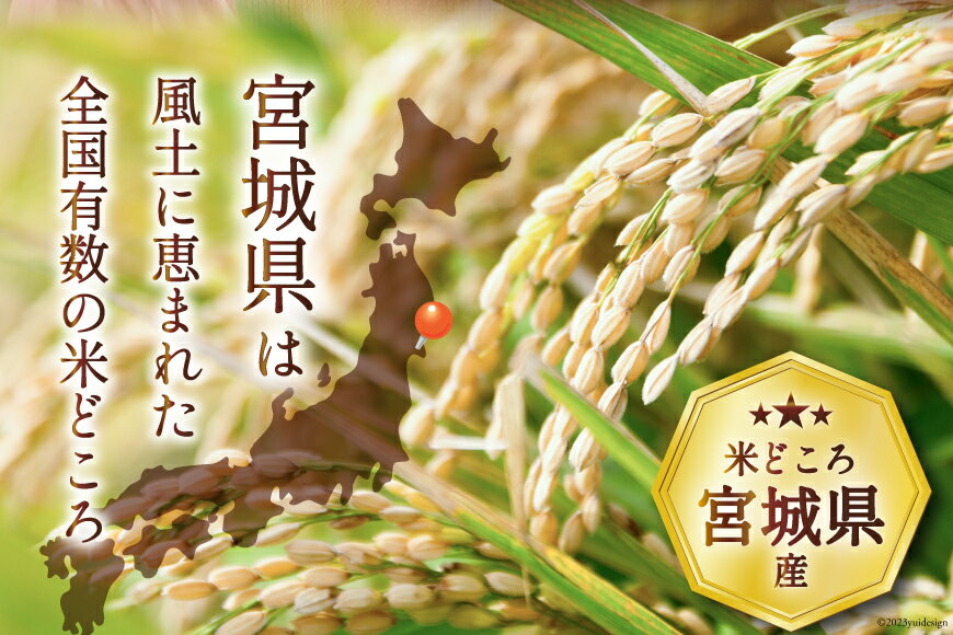 【ふるさと納税】 【選べる内容量】 米 令和7年産 宮城県産 だて正夢 5kg 10kg [気仙沼米穀商業協同組合 宮城県 気仙沼市 20562998] 一等米 ブランド米 白米 精米 選べる 内容量 ご飯 ごはん コメ こめ 小分け 家庭用 宮城 サムネイル3