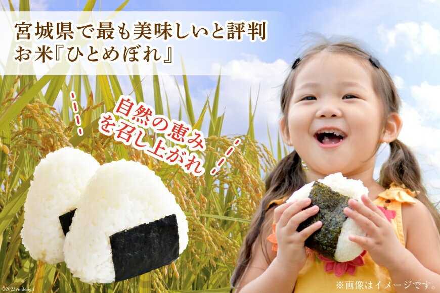 【ふるさと納税】 米 令和7年産 宮城県産 ひとめぼれ 10kg (5kg ×2袋) 【選べる内容量】1回10kg 3回30kg [菊武商店 宮城県 気仙沼市 20563023] お米 こめ コメ 白米 精米 ブランド米 ご飯 ごはん 小分け 家庭用 3ヶ月 - 画像3