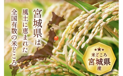 【ふるさと納税】 【選べる内容量】 米 宮城県産 ササニシキ 5kg 10kg [気仙沼米穀商業協同組合 宮城県 気仙沼市 20564670] 一等米 ブランド米 白米 精米 ご飯 ごはん コメ こめ 小分け 家庭用 - 画像3