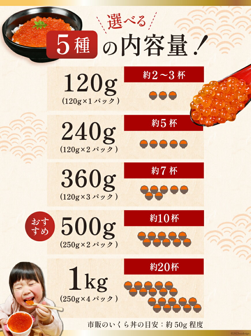 【ふるさと納税】 【TVで紹介！】最高級3特 国産 味付 いくら 宝壽 醤油漬 【 内容量が選べる】 [かわむら家 宮城県 気仙沼市] イクラ 海鮮 魚介類 醤油漬け 鮭いくら 小分け 120g 240g 360g 500g 1kg - 画像3