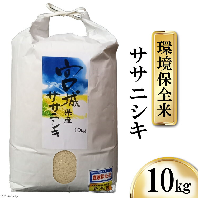 米 宮城県産 ササニシキ 環境保全米 10kg [菊武商店 宮城県 気仙沼市 20564814] お米 こめ コメ 白米 精米 ブランド米 ご飯 ごはん 小分け 家庭用