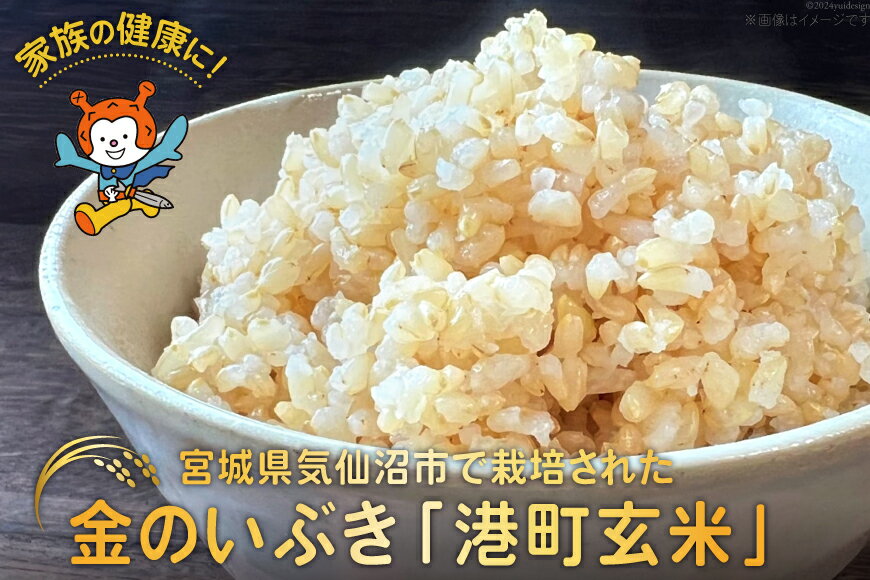 【ふるさと納税】 米 港町玄米 1.8kg 450g×4袋 [サンフレッシュ小泉農園 宮城県 気仙沼市 20564305] 玄米 こめ コメ げんまい ご飯 ごはん 玄米食 小分け 金のいぶき - 画像2