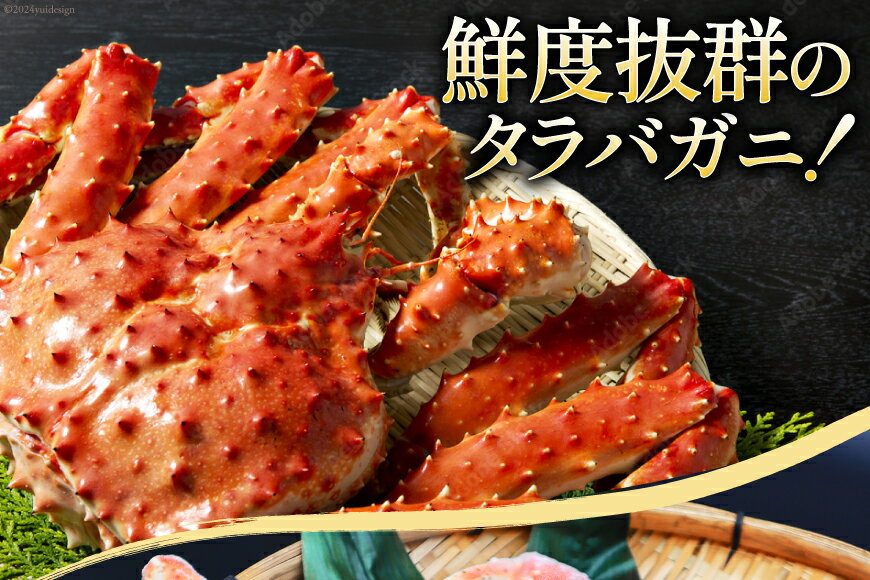 【ふるさと納税】 12月配送受付中 数量限定【選べる配送時期】本 タラバガニ 脚 スリット入 約1.3kg 極太6Lサイズ ボイル済 [カネダイ 宮城県 気仙沼市 20564363] カニ かに 蟹 たらばがに たらば蟹 タラバ蟹 たらば タラバ ボイル 訳あり サムネイル2