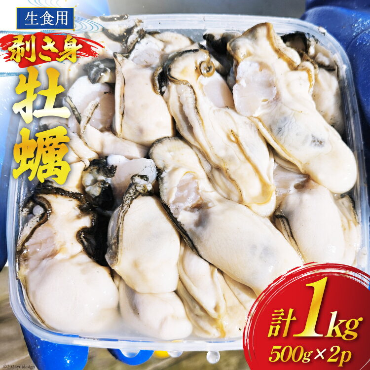 【期間限定発送】 牡蠣 計1kg (約26‐44個入) 500g×2p むき身 生食用 [住喜水産 宮城県 気仙沼市 20564824] 期間限定 冷蔵 新鮮 濃厚 真牡蠣 カキ かき 生牡蠣 魚貝類 生牡蠣 貝 海鮮 魚介類 なべ カキフライ 牡蠣ご飯 魚介
