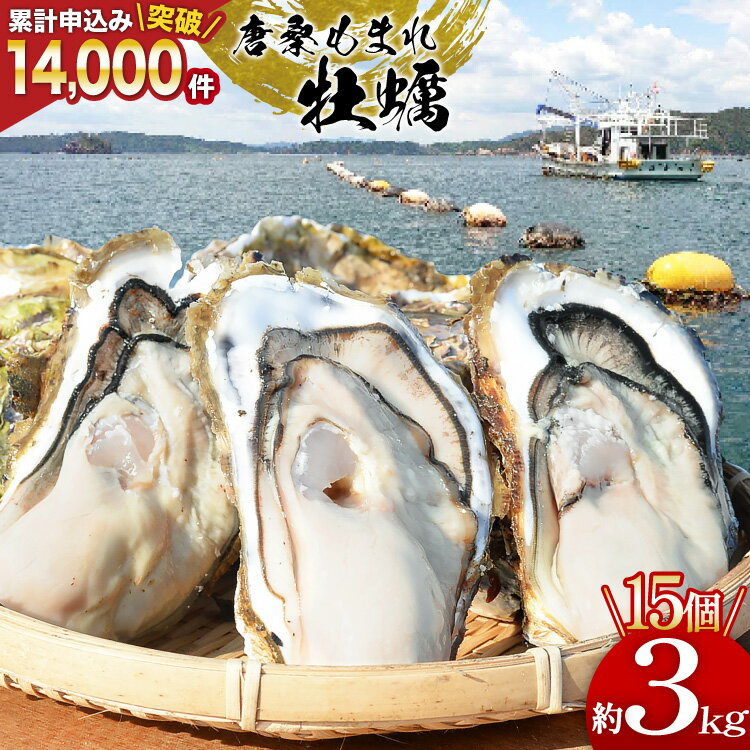 【ふるさと納税】 【期間限定発送】テレビで紹介！累計申込み14,000件突破！唐桑もまれ牡蠣 15個 約3kg [戸羽平 宮城県 気仙沼市 20563890] 牡蠣 かき カキ もまれかき 殻付き牡蠣