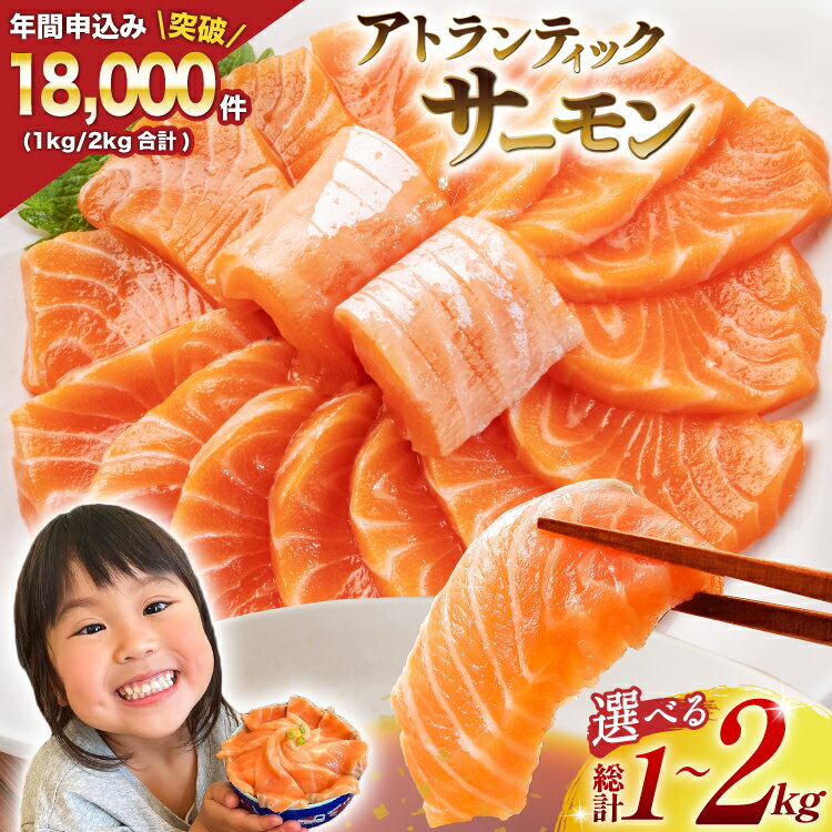 ノルウェー産 アトランティックサーモン 【内容量が選べる】[カネダイ 宮城県 気仙沼市 20564320] 魚 魚介類 サーモン 刺身 生食 生 アトランティック アトラン 小分け 冷凍 鮭 さけ 訳あり ノルウェー 1kg 2kg