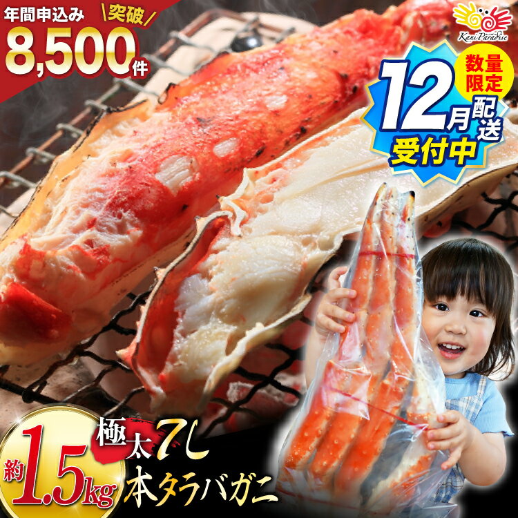 12月配送受付中 数量限定【選べる配送時期】本 タラバガニ 脚 ボイル済 約1.5kg 極太7Lサイズ [カネダイ 宮城県 気仙沼市 20564326] カニ かに 蟹 たらばがに たらば蟹 タラバ蟹 たらば タラバ ボイル 年末 年内配送 12月配送