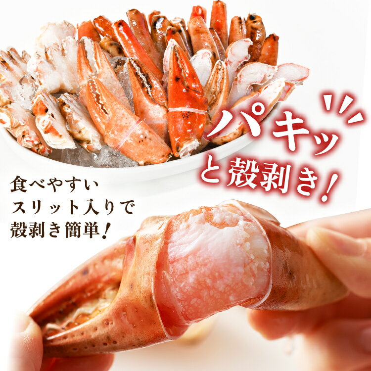 【ふるさと納税】 大人気！リピーター続出 まるずわいがに 肩脚肉 【内容量が選べる】[カネダイ 宮城県 気仙沼市 20564327] かに カニ かに物語 まるズワイガニ 丸ずわいがに マルズワイガニ 蟹 ずわい 魚介 魚介類 1kg 2kg 3kg - 画像3