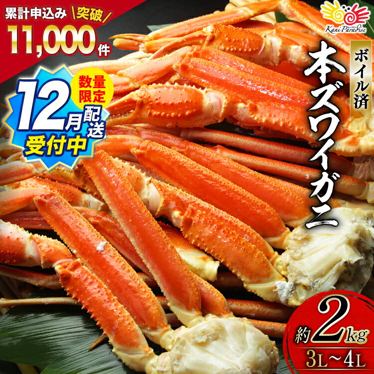 12月配送受付中 数量限定【選べる配送時期】ボイル済み 本ずわいがに 脚 3L～4L 総重量 2kg [カネダイ 宮城県 気仙沼市 20564764] カニ 蟹 ズワイガニ ずわい蟹 ズワイ蟹 ずわい ズワイ カニ脚 蟹脚 足 ボイル