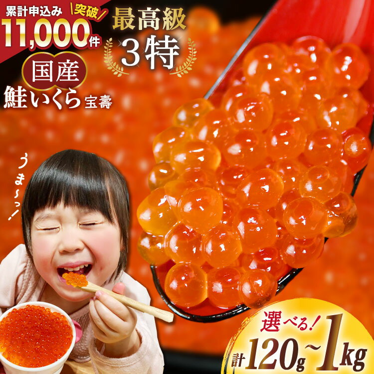 【TVで紹介！】最高級3特 国産 味付 いくら 宝壽 醤油漬 【 内容量が選べる】 [かわむら家 宮城県 気仙沼市] イクラ 海鮮 魚介類 醤油漬け 鮭いくら 小分け 120g 240g 360g 500g 1kg