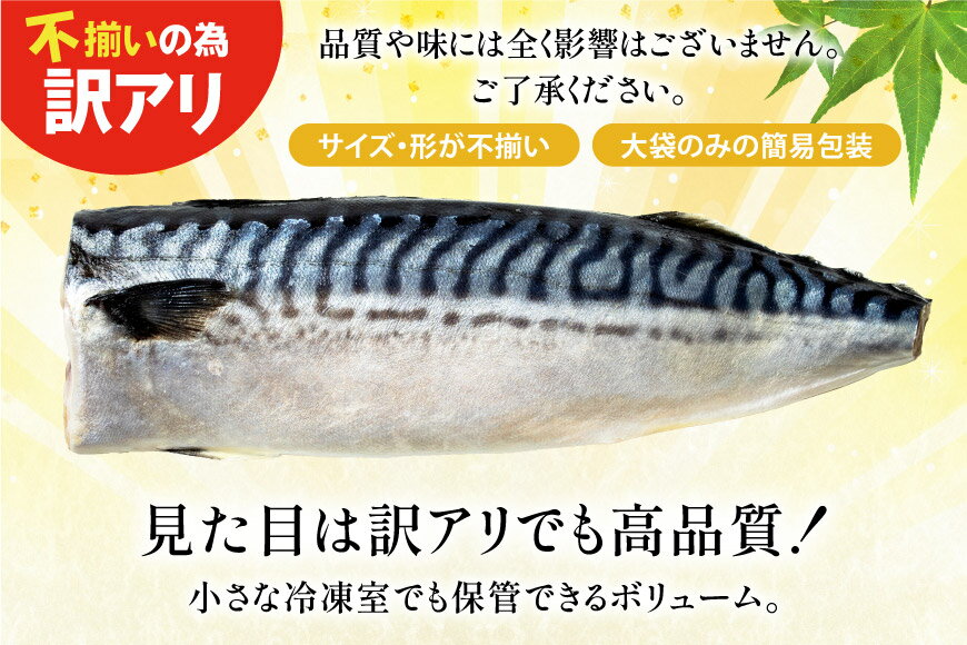 【ふるさと納税】 訳あり 減塩 無添加 トロ塩サバ フィレ Mサイズ 【選べる内容量】 [足利本店 宮城県 気仙沼市 20565167] 魚介類 魚 大容量 サバ さば 鯖 トロサバ トロさば とろサバ 塩分控えめ 切り身 冷凍 訳アリ 2kg 3kg 5kg サムネイル2