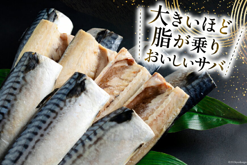 【ふるさと納税】 訳あり 塩サバ フィレ 【選べる内容量】2kg/3kg/5kg [足利本店 宮城県 気仙沼市 20565497] 魚 海鮮 さば サバ さば 鯖 サバフィレ 鯖フィレ 切り身 冷凍 訳アリ わけあり トロサバ 減塩 とろさば 無添加 人気 サムネイル3